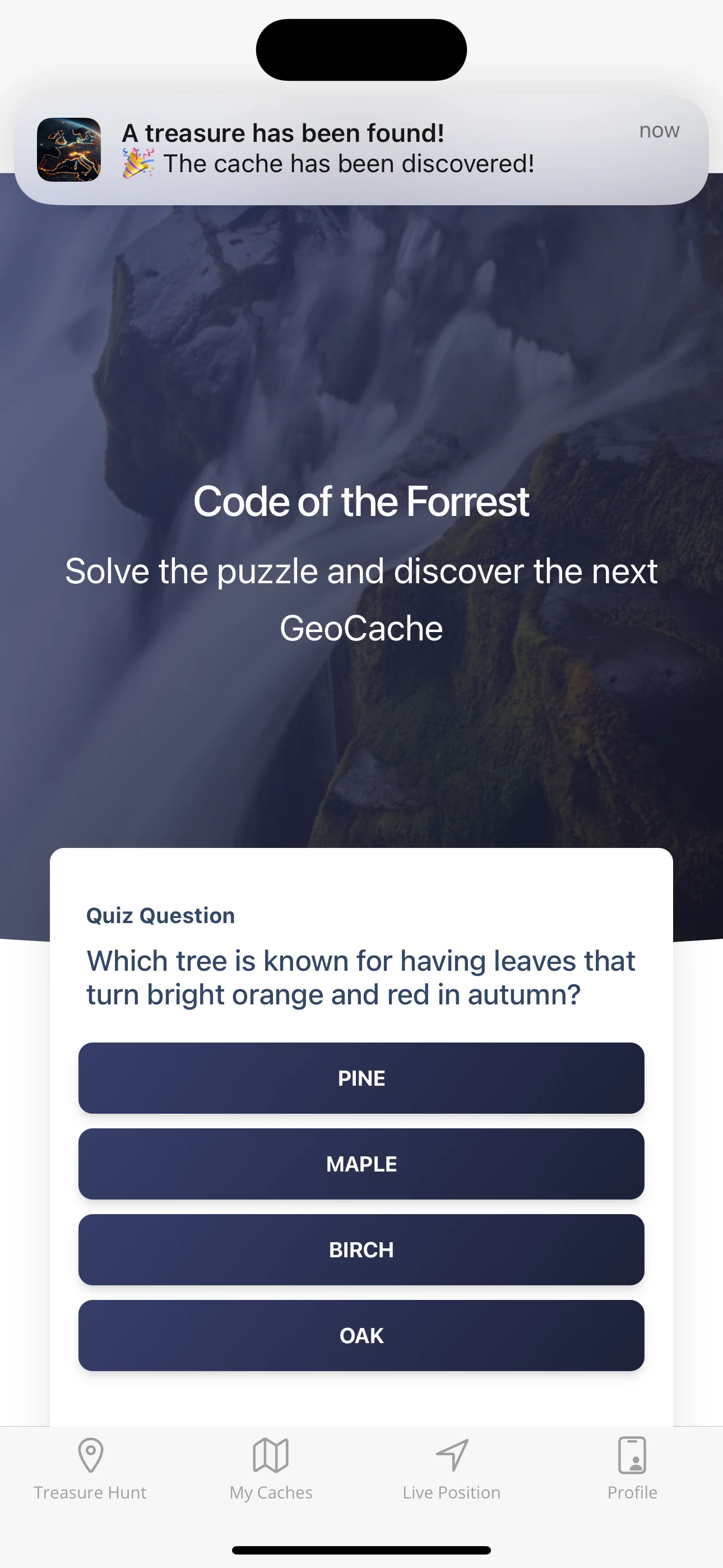 Geocaching Radar Treasure Hunt screenshot